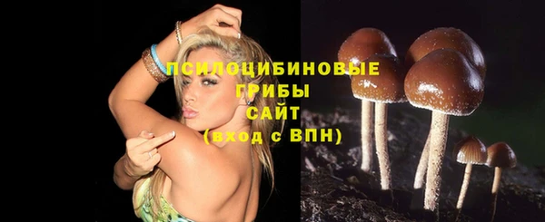 амф Заводоуковск