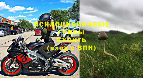 мдпв Заволжск