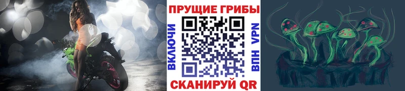 Галлюциногенные грибы MAGIC MUSHROOMS  Купить  Лосино-Петровский 